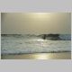 0892_Morning Surf.JPG